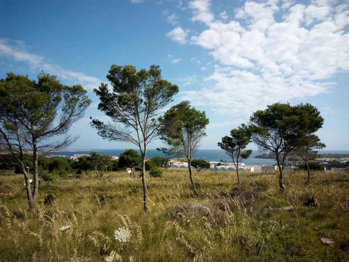 Apartment Castellsol Arenal Home Beach Punta Grossa