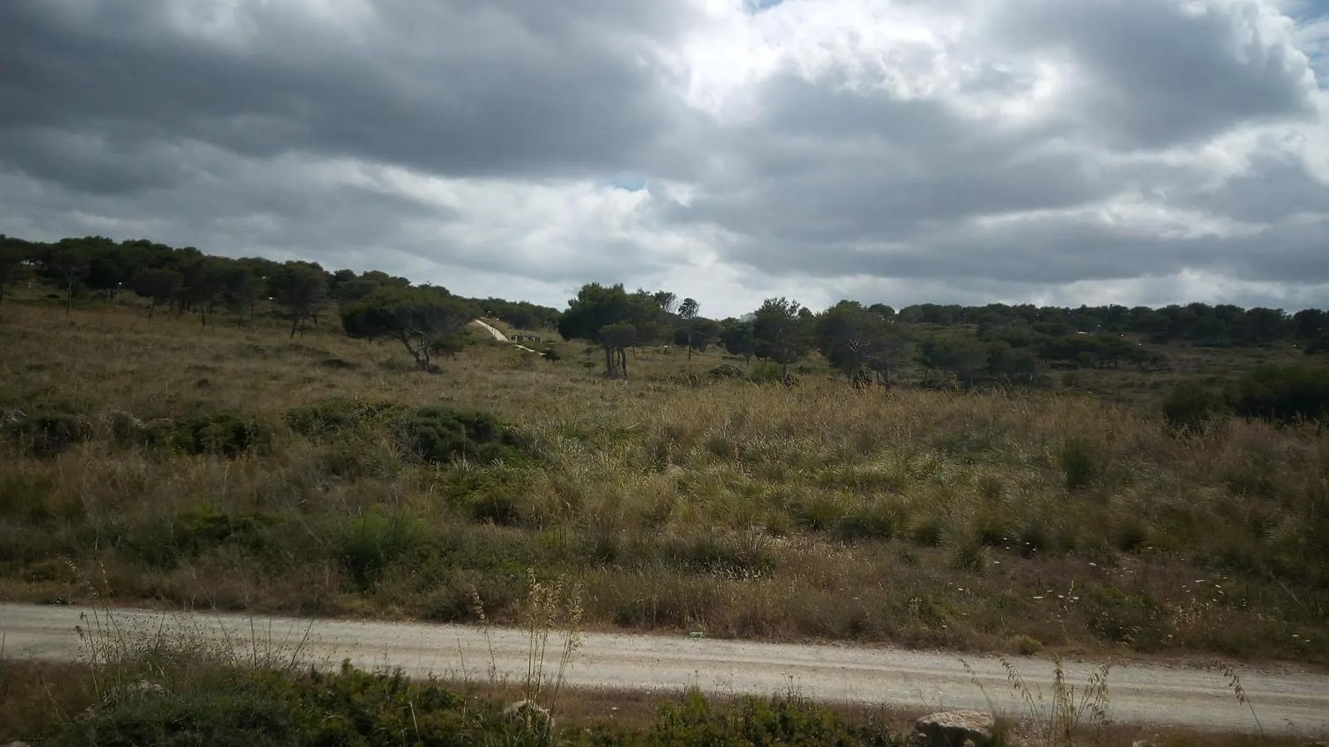 Castellsol Arenal Home Beach Punta Grossa 0*,  Spain
